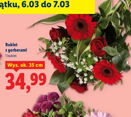 Bukiet z gerberami promocja w Lidl