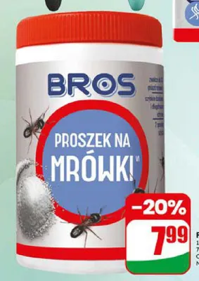 Proszek na mrówki Bros promocja w Dino
