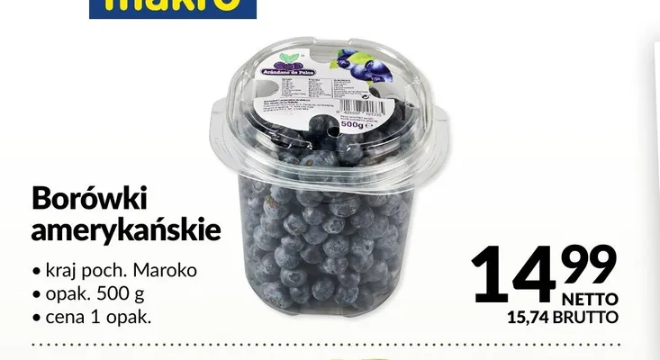 Borówki amerykańskie Maroko promocja w Makro
