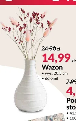 Wazon promocja w Salony Agata
