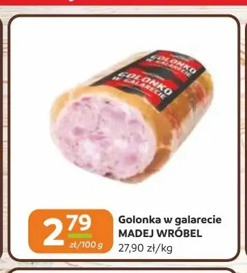 Golonka w galarecie Madej Wróbel promocja w Gama