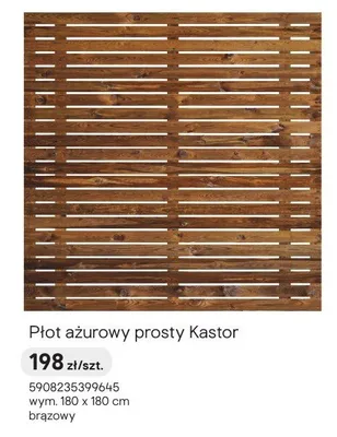 Płot płot ażurowy prosty Kastor promocja w Castorama