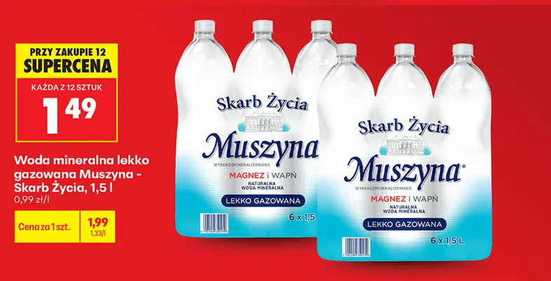Woda mineralna lekko gazowana Muszyna - Skarb Życia promocja w Biedronka