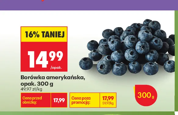 Borówka amerykańska promocja w Biedronka
