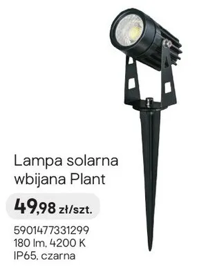 Lampa solarna wbijana Plant czarna promocja w Castorama