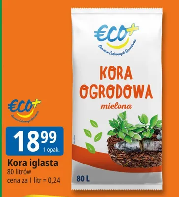Kora iglasta promocja w Leclerc