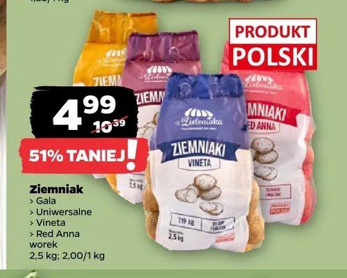 Ziemniaki Gala Z Zieleniaka promocja w Netto