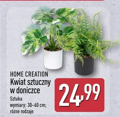 Kwiat sztuczny w doniczce HOME CREATION 30-60cm promocja w Aldi