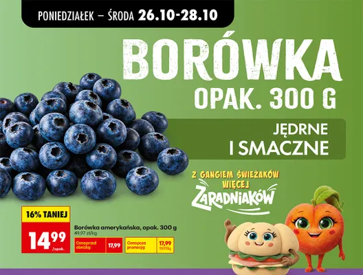 Borówka amerykańska promocja w Biedronka