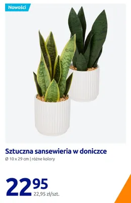 Sztuczna sansewieria w doniczce promocja w Action