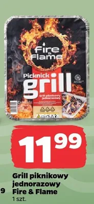Grill piknikowy jednorazowy Fire & Flame promocja w Netto