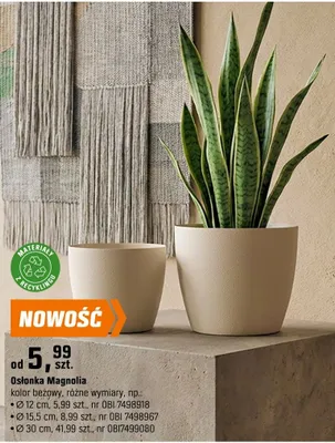 Osłonka Magnolia Ø 15,5 cm promocja w OBI