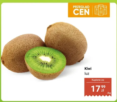 Kiwi luz Dino promocja w Dino