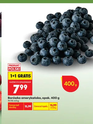 Borówka amerykańska promocja w Biedronka