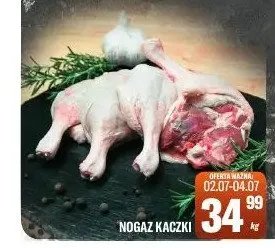Nogaz kaczki promocja w Tomi Markt