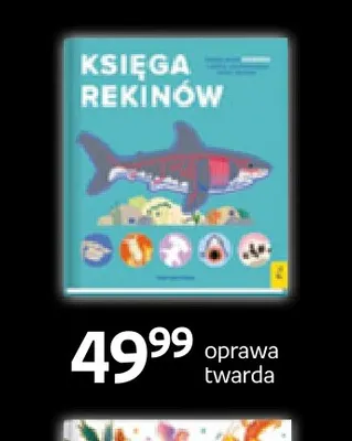 Książka Księga rekinów oprawa twarda Wilga promocja w Empik