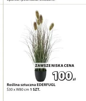 Roślina sztuczna EDERFUGL S30xW80cm promocja w Jysk