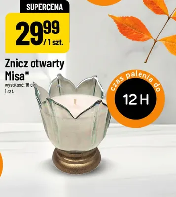 Znicz otwarty Misa promocja w POLOmarket
