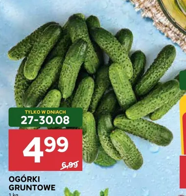 Ogórki gruntowe promocja w Stokrotka