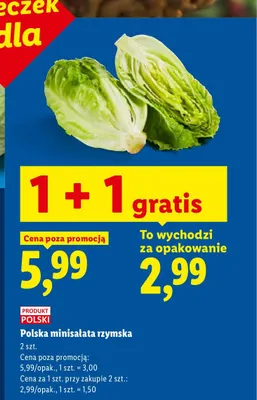 Minisałata rzymska polska Ryneczek Lidla promocja w Lidl