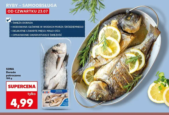 Dorada patroszona Sona promocja w Kaufland