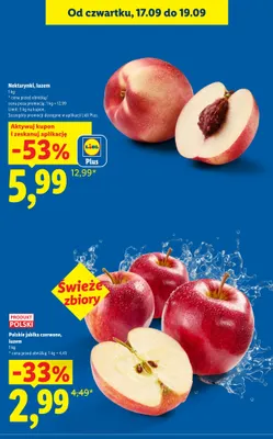 Nektarynki luzem promocja w Lidl