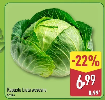 Kapusta biała wczesna promocja w Aldi