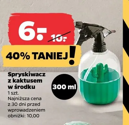 Spryskiwacz z kaktusem w środku promocja w Netto