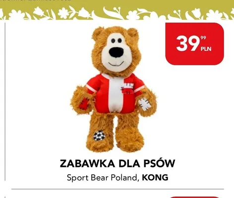 Zabawka dla psów Kong Sport Bear Poland promocja w Aquael zoo