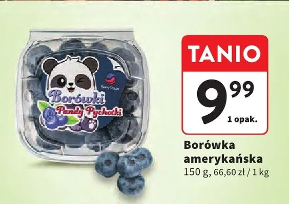 Borówka amerykańska promocja w Intermarche