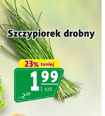 Szczypiorek drobny promocja w Prim Market