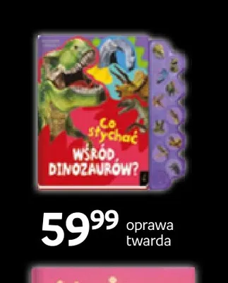Książka Co słychać wśród dinozaurów? oprawa twarda Wilga promocja w Empik