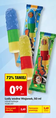 Lody wodne Wojanek promocja w Biedronka