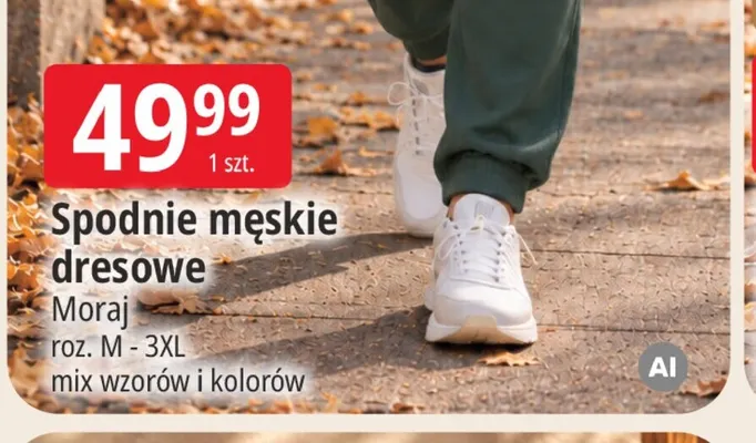 Spodnie męskie dresowe Moraj promocja w Leclerc