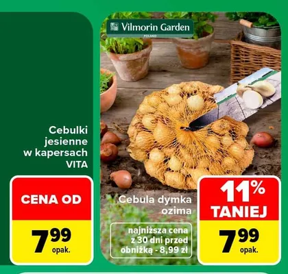 Cebula dymka ozima Vilmorin Garden promocja w Carrefour