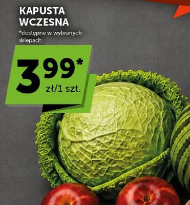 Kapusta wczesna promocja w Groszek
