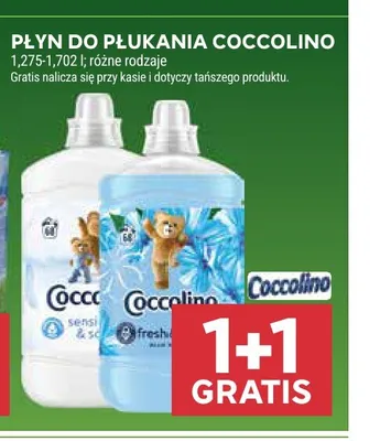 Płyn do płukania Coccolino Fuchsia Passion promocja w Stokrotka