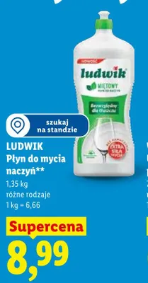 Płyn do mycia naczyń Ludwik promocja w Lidl