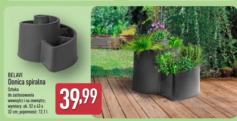 Donica spiralna promocja w Aldi