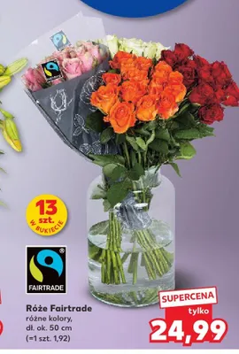 Róże Fairtrade 13-pak promocja w Kaufland