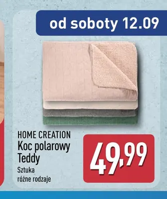 Koc polarowy Teddy Home Creation promocja w Aldi