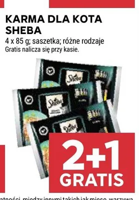 Karma dla kota Sheba promocja w Stokrotka