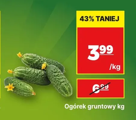 Ogórki gruntowe promocja w API Market