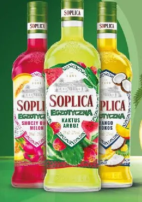 Likier egzotyczna smoczy owoc melon promocja w Aldi