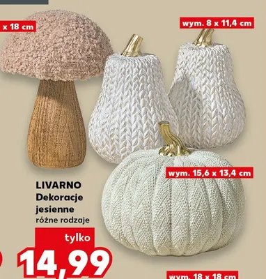 Dekoracje jesienne Livarno promocja w Kaufland