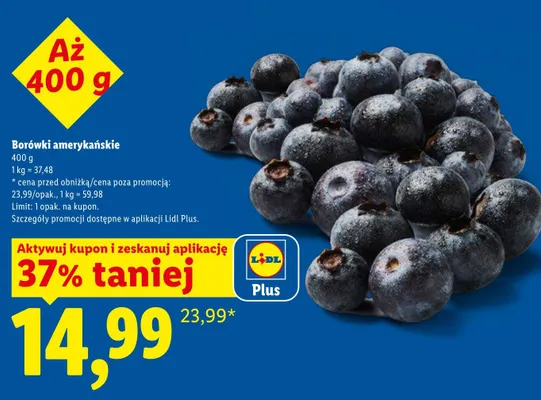 Borówki amerykańskie promocja w Lidl