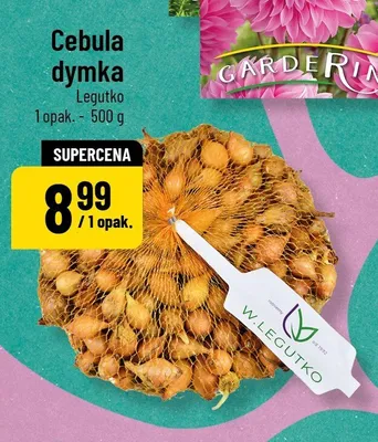 Cebula dymka Legutko promocja w POLOmarket