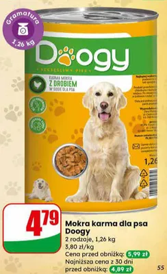 Mokra karma 2 rodzaje promocja w Dino