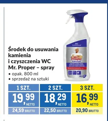 Środek do usuwania kamienia i czyszczenia WC Mr. Proper spray promocja w Makro
