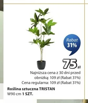 Roślina sztuczna Tristan promocja w Jysk